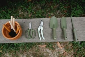 Landscaping FAQs