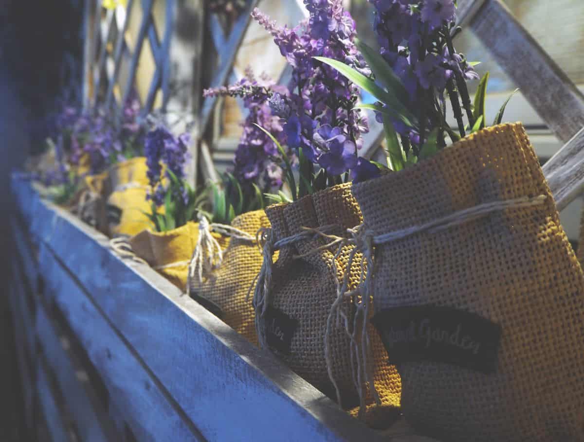 Landscaping Blog