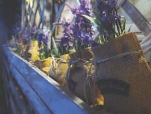 Landscaping Tips