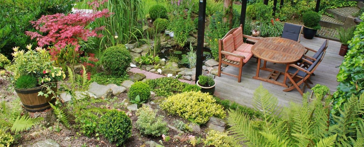 Landscaping Blog