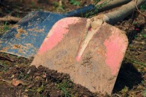 Gardening FAQs