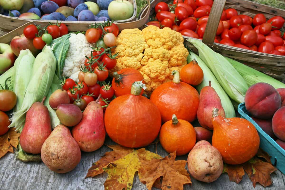 Gardening Blog