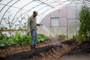 Gardening Blog