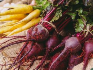 Gardening FAQs