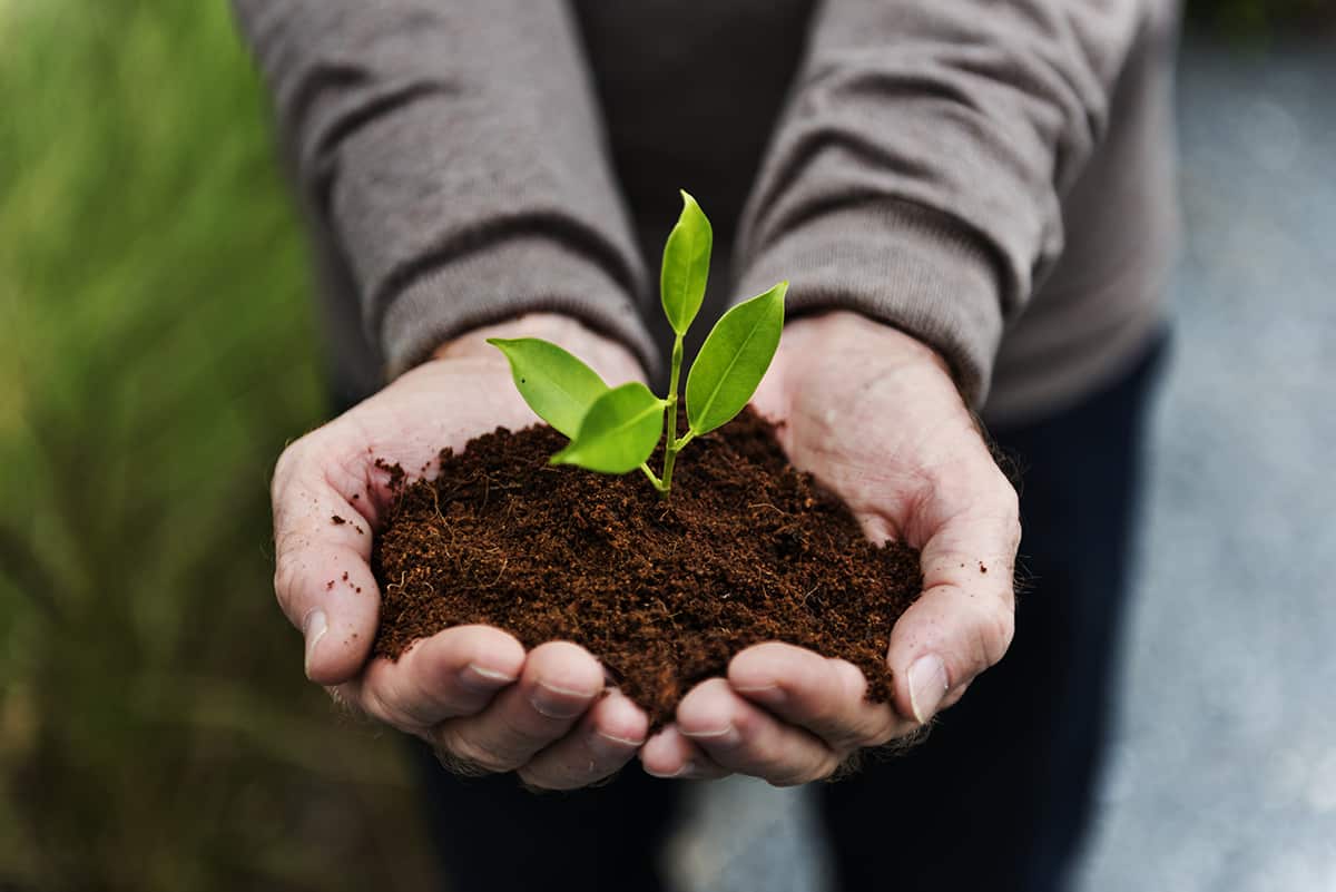 Landscaping FAQs