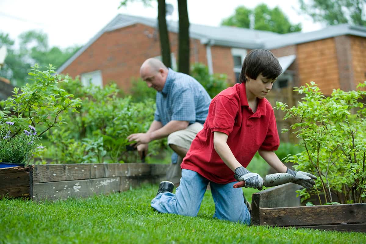 Gardening Blog