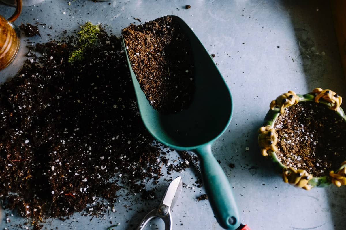 Gardening FAQs