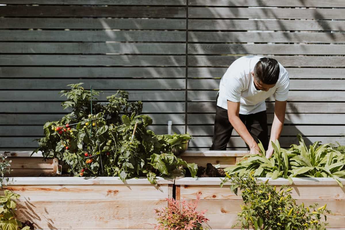Gardening Tips