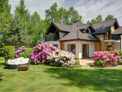 Easy to Care For Flowers Perfect for Curb Appeal