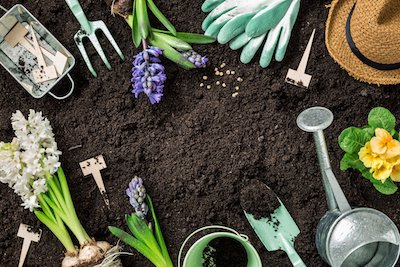 How Deep Should You Dig a Garden