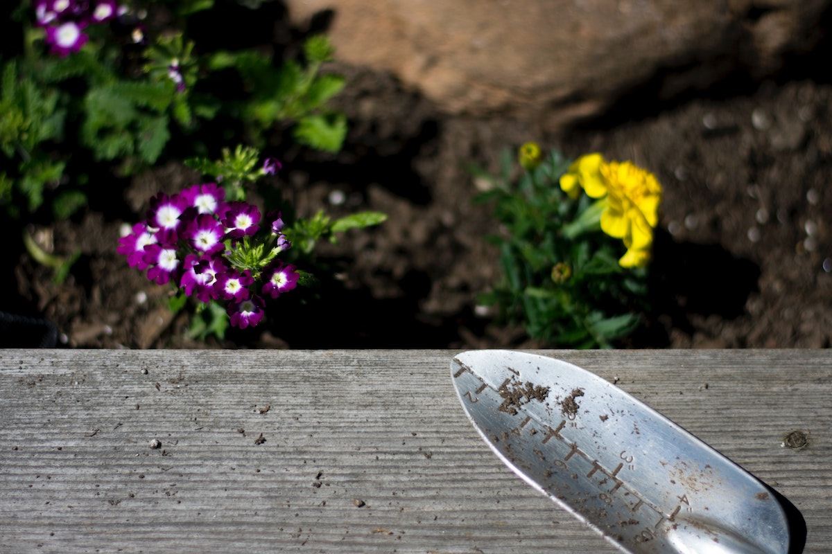 Landscaping Blog