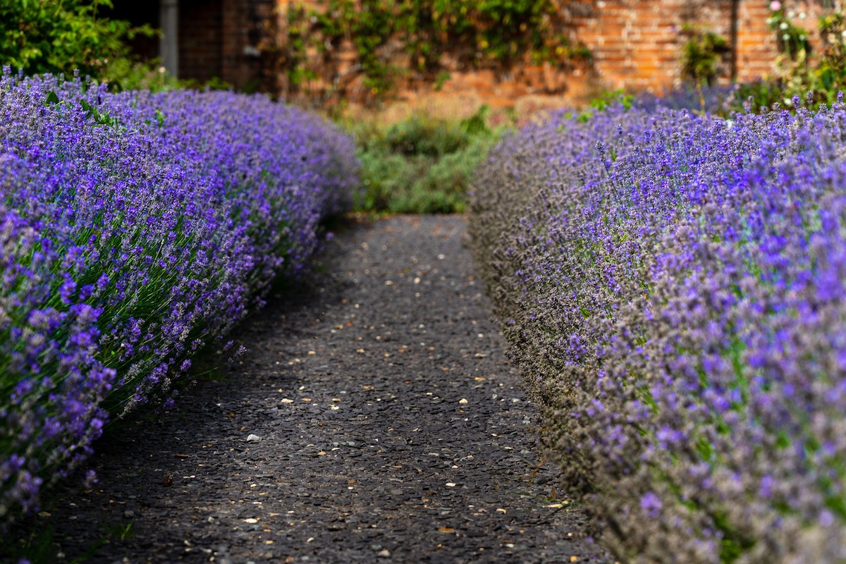 Gardening Blog