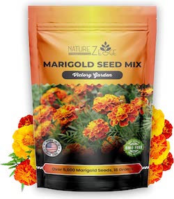marigold flower seeds