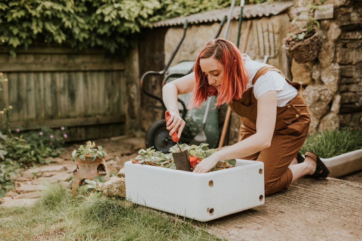 How Do I Troubleshoot Common Microgardening Problems?