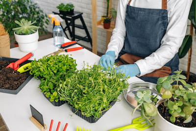 Microgarden Pest Preventing