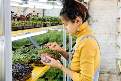 How can I extend the growing season in my microgarden for year-round cultivation? - Petals & Gardens | Gardening Tips tips for year-round microgarden